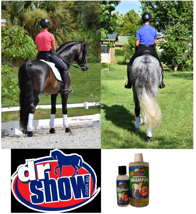 Horse Shampoo All in One Dr Show
